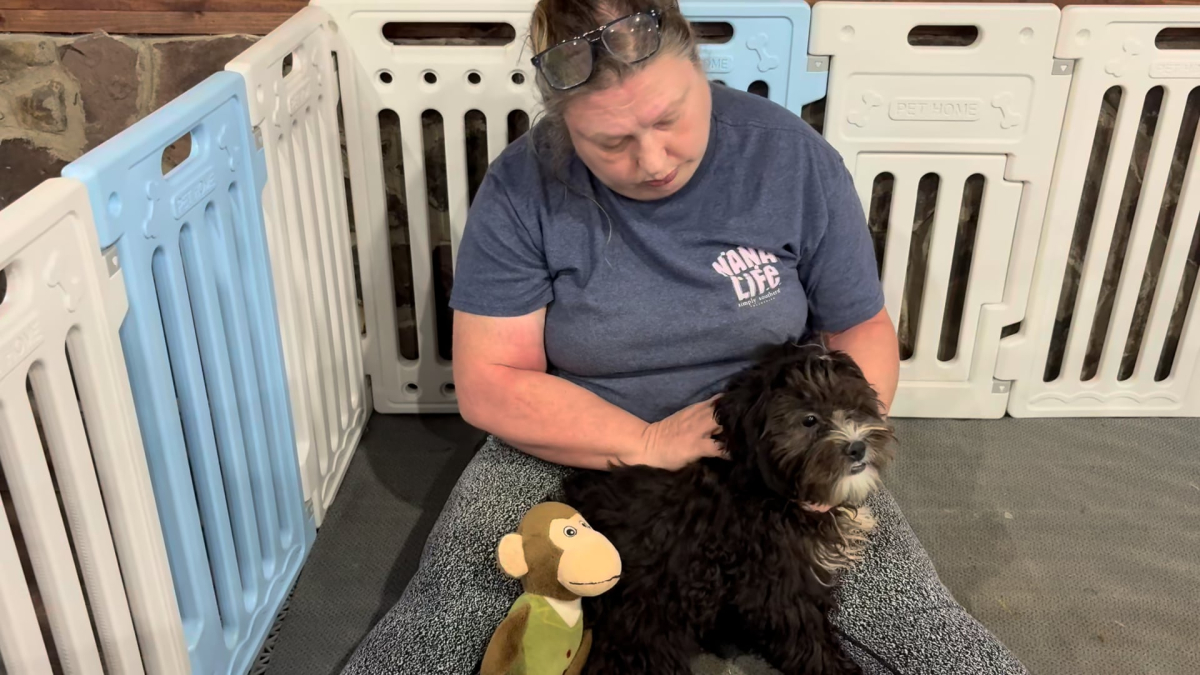 Teddypoo M 5126