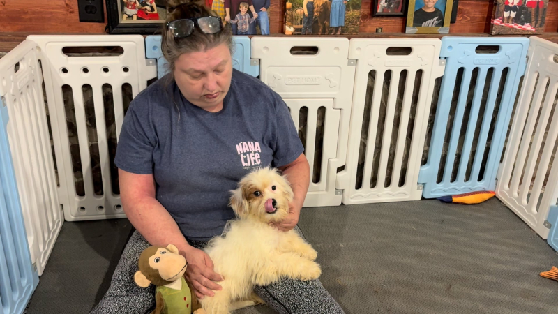 Morkiepoo F 4959